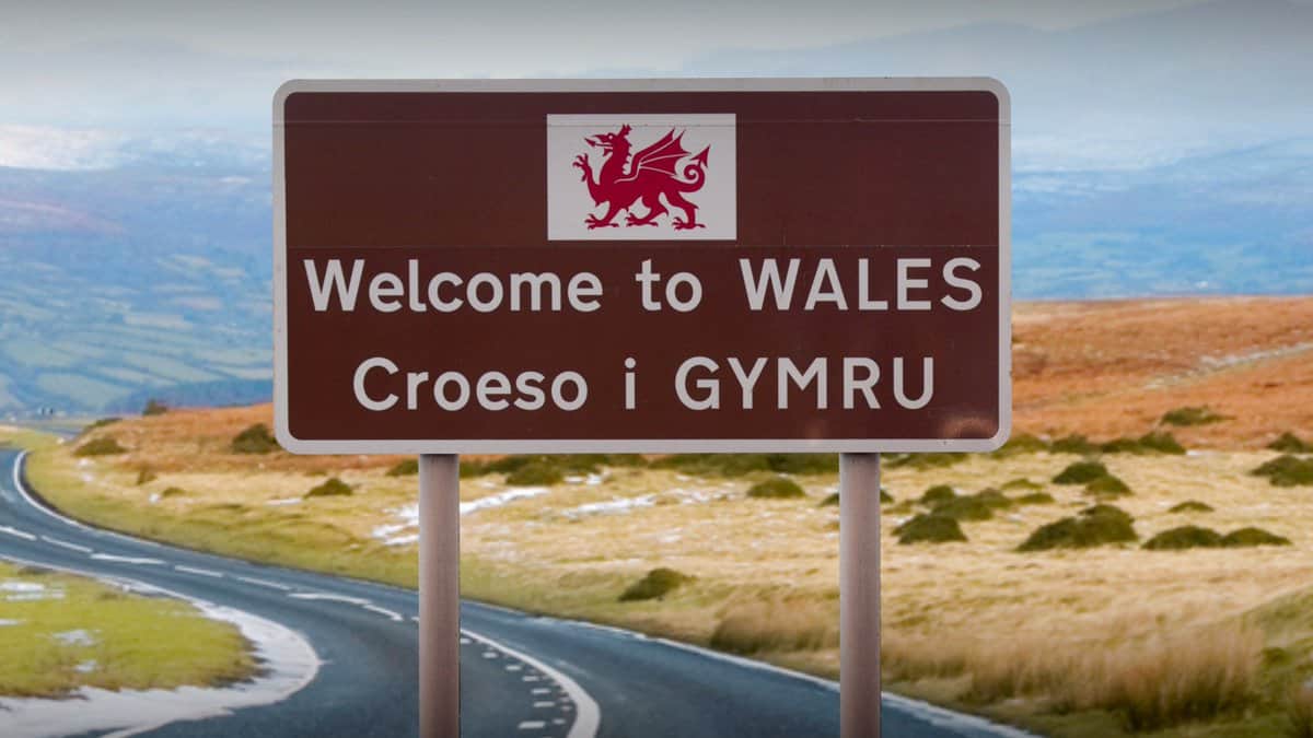 Limited companies in Welsh Company Services UK